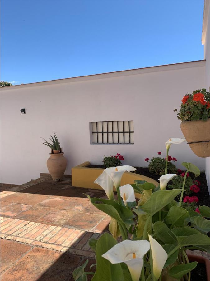 טורמולינוס Encantador Apartamento-Centrico-Con Amplio Jardin מראה חיצוני תמונה
