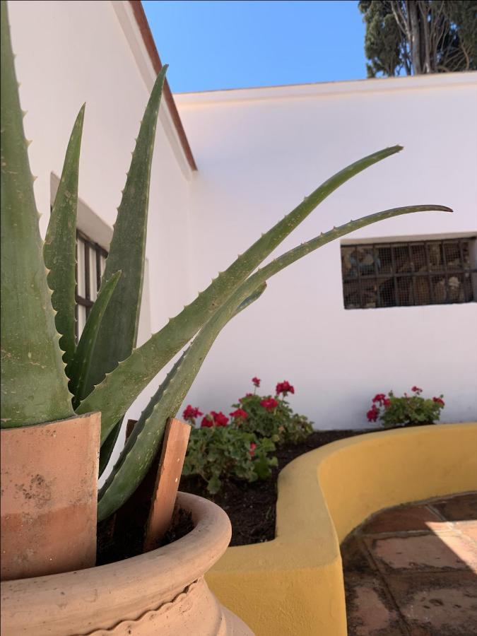 טורמולינוס Encantador Apartamento-Centrico-Con Amplio Jardin מראה חיצוני תמונה
